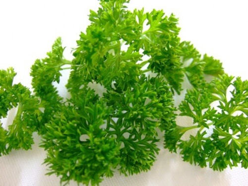 Petersilie: gesund und lecker! 2 Rezepte Petersilie: gesund und lecker! 2 Rezepte