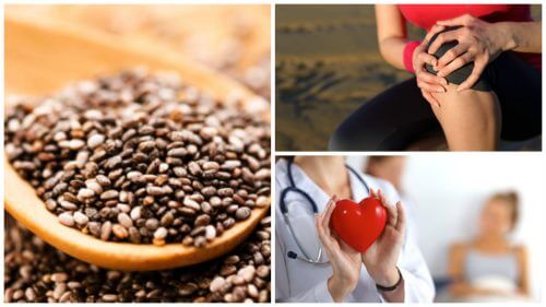 9 tolle Vorteile durch den Konsum von Chia 9 tolle Vorteile durch den Konsum von Chia