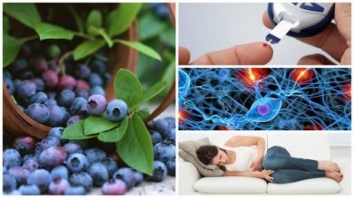 Blaubeeren: 8 wundervolle Vorzüge