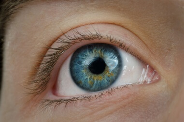 Blaubeeren für gesunde Augen