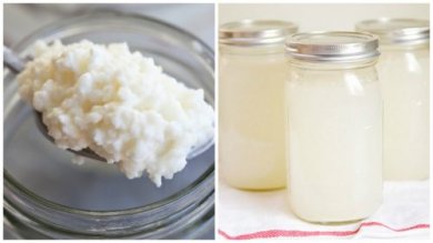 Kefir mit Kokoswasser für deine Gesundheit!