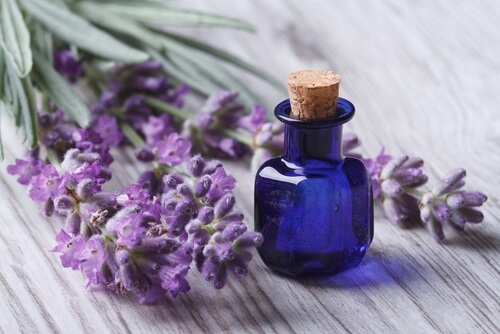 Ätherisches Lavendelöl gegen Nackenverspannungen