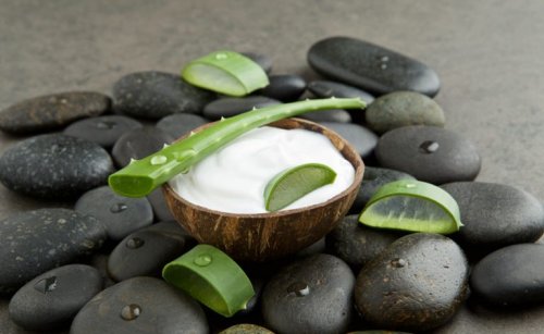 Aloe-vera-und-kokosmilch