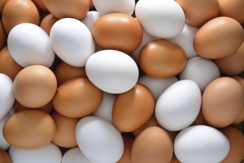 Hühnereier gegen Vitamin B12 Mangel