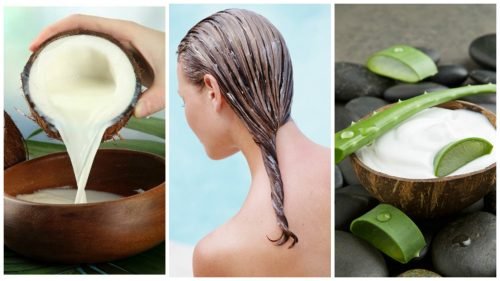 Aloe vera und Kokosmilch pflegt dein Haar
