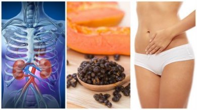 Du liebst Papaya? Auch die Kerne haben viele Vorteile!