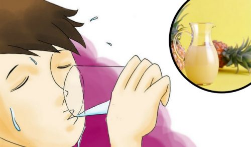 Hausgemachter Drink mit Ananasschale um die Darmflora wieder zu beleben Hausgemachter Drink mit Ananasschale um die Darmflora wieder zu beleben