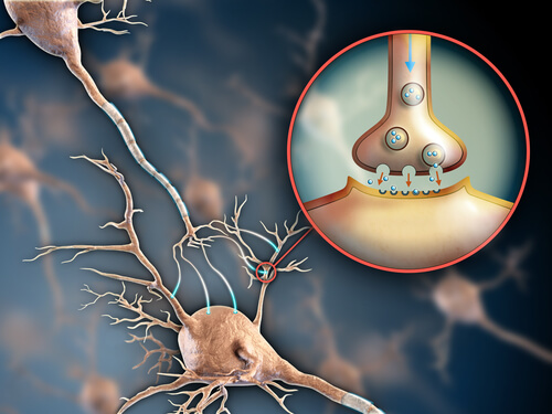 Nervensystem