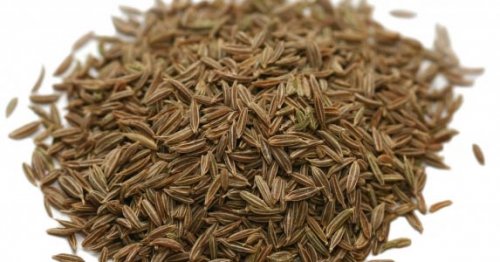 Kümmel