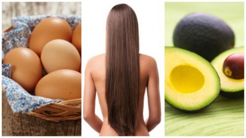 8 Lebensmittel, die den Haarwuchs fördern könnten