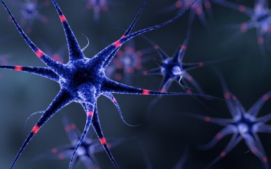 6 Tipps für ein starkes Nervensystem