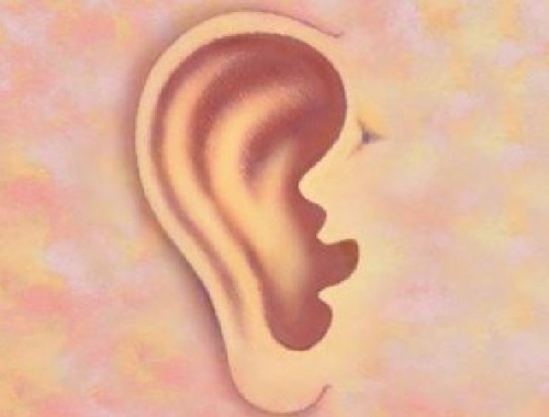 Was können deine Ohren über dich verraten?