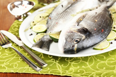 eiweißreicher Fisch