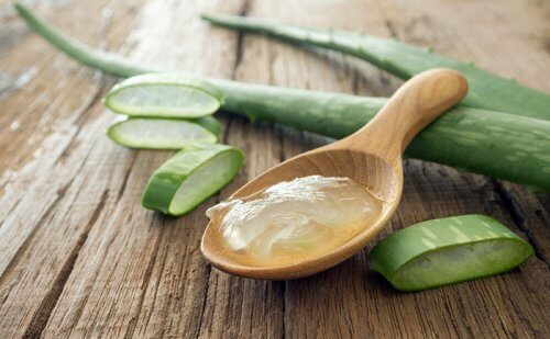 Aloe Vera gegen Lippenherpes
