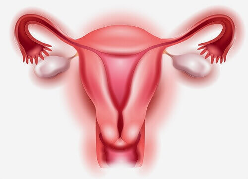 Polyzystisches Ovarialsyndrom - was ist das?