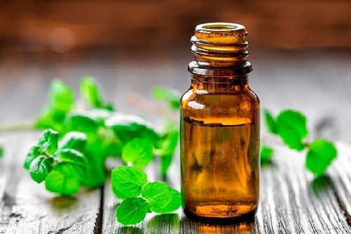 Öle gegen Arthritisschmerzen: Minzöl