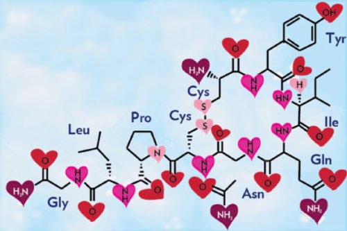 Chemie der Liebe: Oxytocin