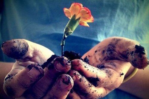 Hände mit Erde und einer Blume symbolisieren Liebe und Geduld zur Bewältigung von Emotionen