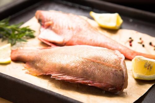 schadstoffbelastete Fischarten: Sebastes