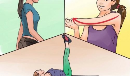 Training für elastische Muskeln