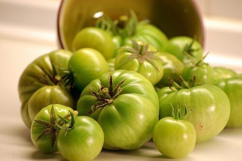 grüne Tomaten 