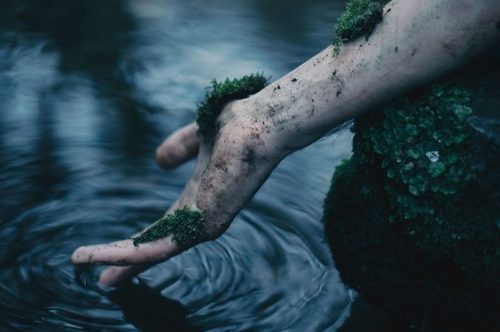 Arm einer Frau mit Moos im Wasser als Symbol für Leid durch toxische Beziehung