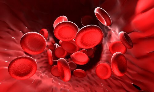 pH-Wert im Blut durch Zitronensaft ausgleichen