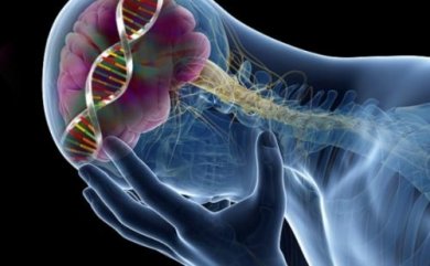 Niedriger Serotoninspiegel: 9 überraschende Auswirkungen