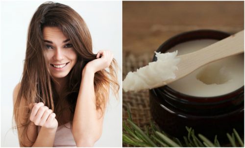 Hausgemachter Balsam für schnelleres Haarwachstum Hausgemachter Balsam für schnelleres Haarwachstum
