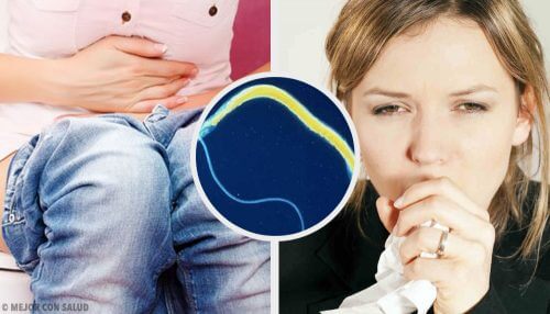 Anzeichen und Behandlung von Darmparasiten