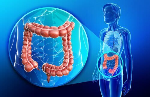 Die Symptome von Morbus Crohn Die Symptome von Morbus Crohn