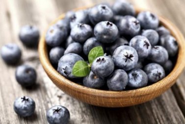 Heidelbeeren richtig pflanzen und pflegen
