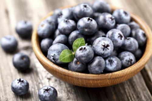 Heidelbeeren richtig pflanzen