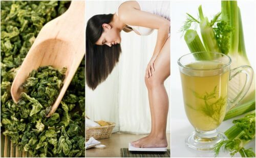 5 Heilpflanzen zum Abnehmen 5 Heilpflanzen zum Abnehmen
