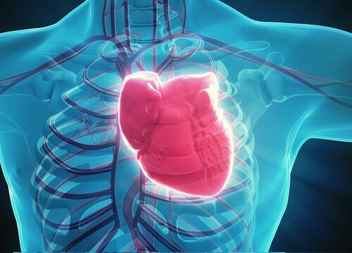 Herzkrankheit und Systemischer Lupus Erythematodes