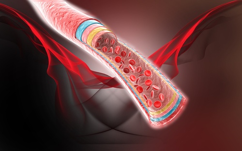Arterie