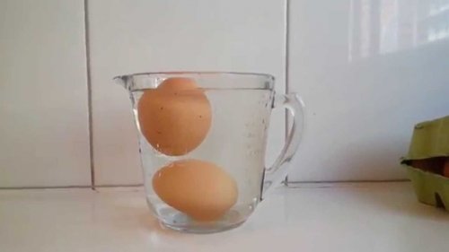 Ist das Ei noch frisch? Eiertest im Wasserglas