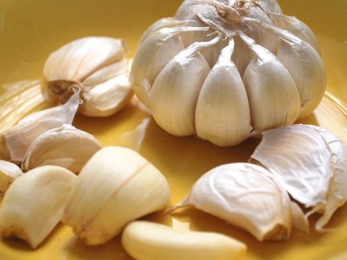 Knoblauch für gesunde Arterien