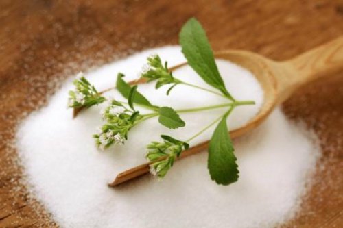 Stevia und Zimt gegen Diabetes