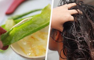 Aloe vera als Naturmittel gegen Haarausfall