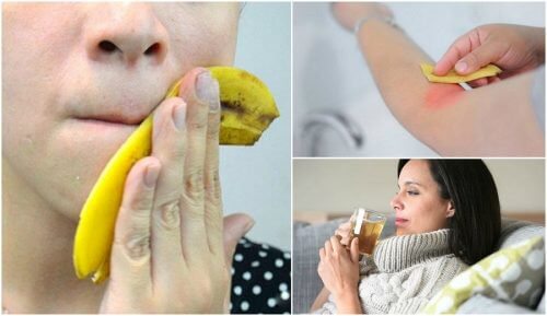 Bananenschalen verwenden? 8 interessante Möglichkeiten Bananenschalen verwenden? 8 interessante Möglichkeiten