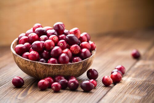 Heidelbeeren richtig pflanzen