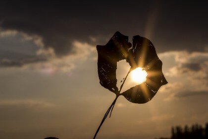 Herz vor der Sonne als Symbol für Frauenfreundschaften gegen Stress