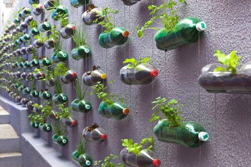 Plastikflaschen recyceln - vertikaler Garten