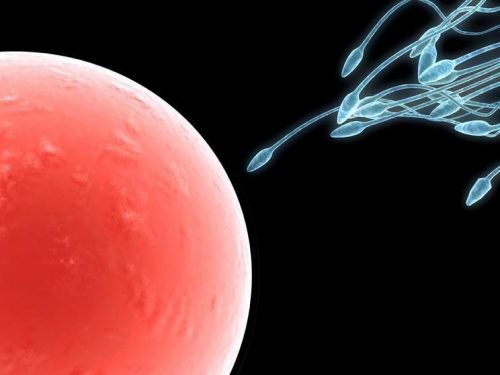 Schlechter Harngeruch durch Ovulation