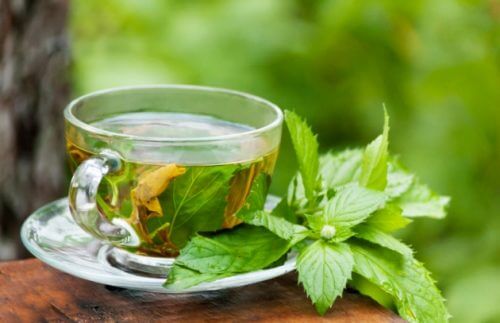 Tees gegen Verstopfung: grüner Tee