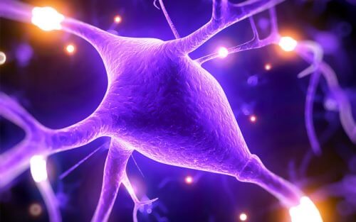 Vorteile von Magnesium zur Verbesserung der Hirnkapazitäten Vorteile von Magnesium zur Verbesserung der Hirnkapazitäten