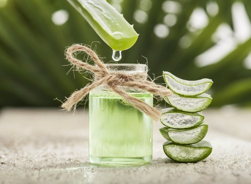 Hausmittel gegen Warzen: Vitamin E und Aloe vera