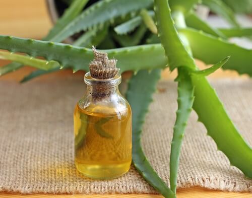 Schön definierte Locken mit Aloe vera und Arganöl