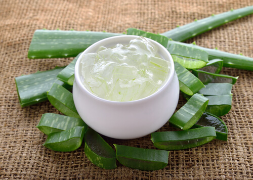 Aloe vera für selbstgemachte Deodorants